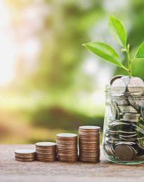 Kalfalık & Ustalık – Teşvik Programı